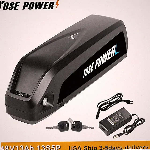 48V 1000W Hailong Battery Electric Bike Battery 48V Ebike Battery with Charger
