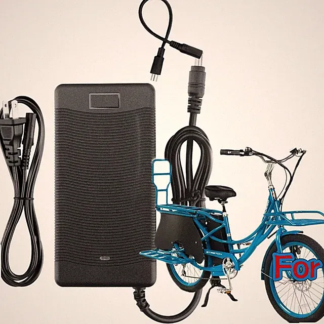 🚲AC Adapter For Pedego Stretch 48V Electric Cargo Bike E-Bike