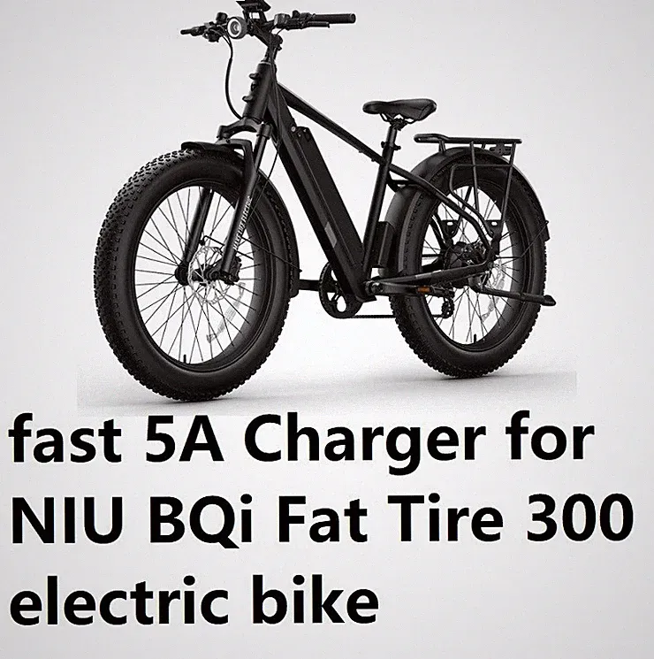 🔥 fast 5A battery charger for Niu BQI Fat Tire 300 bike