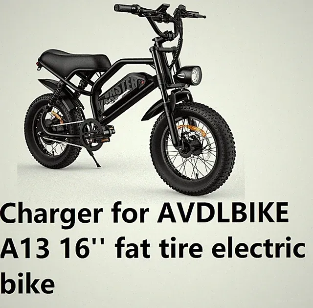 🔥fast Charger for AVDLBIKE A13 16'' fat tire electric bike A2