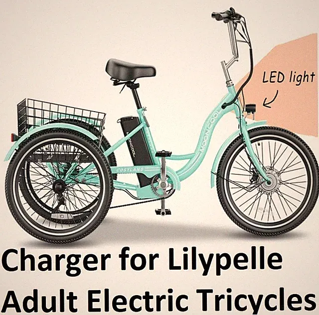 🔥power supply battery charger for Lilypelle Adult Electric Tricycles ebike